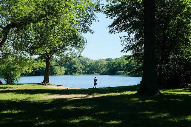 A man stands at the edge of a pond in Prospect Park with his back to the camera.